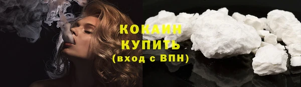 мет Новодвинск