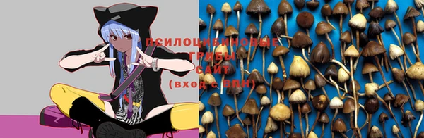 меф Новозыбков